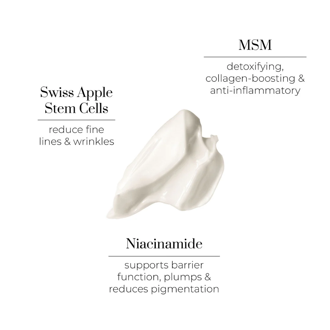 Bedtime Beauty Boost Nutri-Active Nourishing & Regenerating Night Cream - Image 3