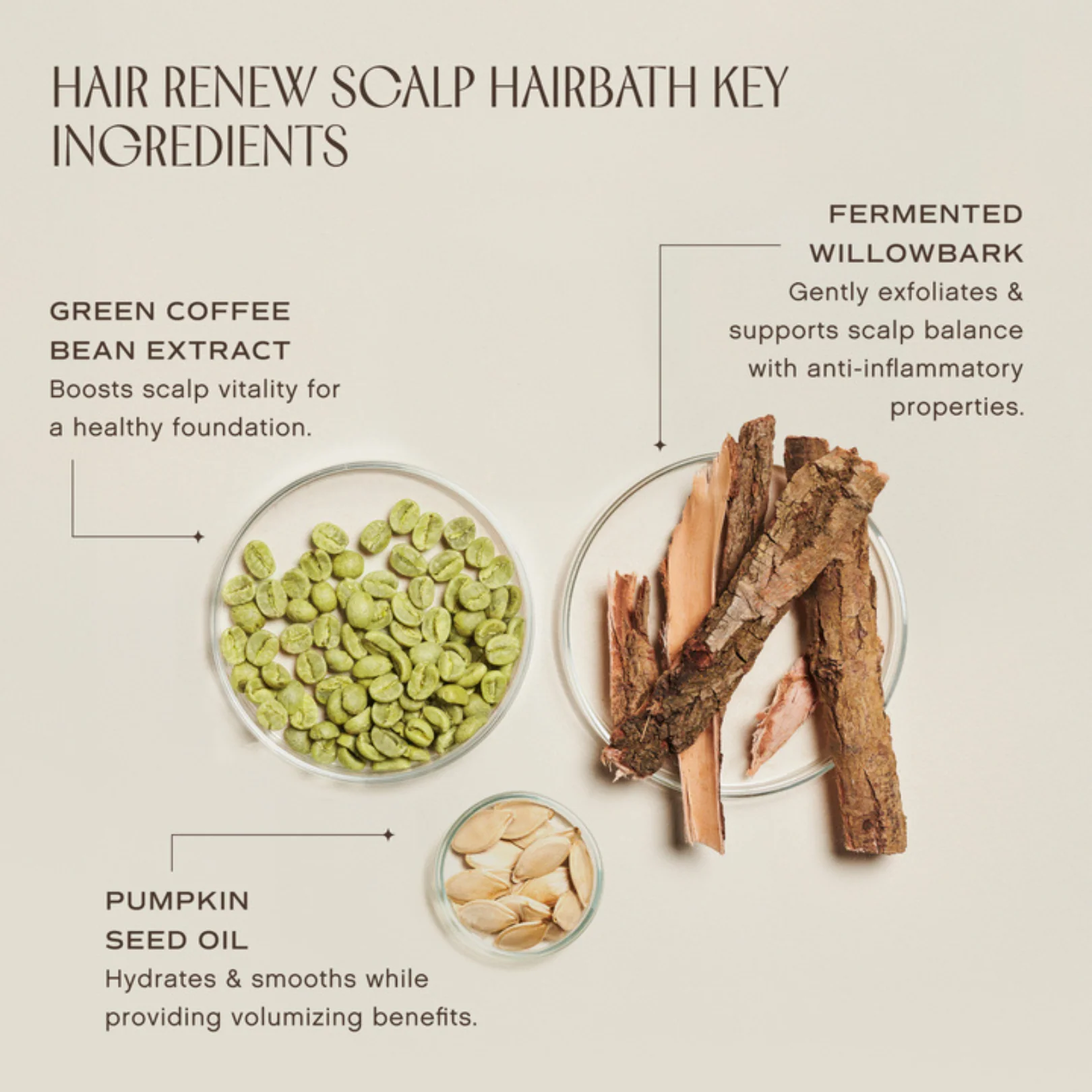 Mini Hair Renew Scalp Hairbath - Image 7