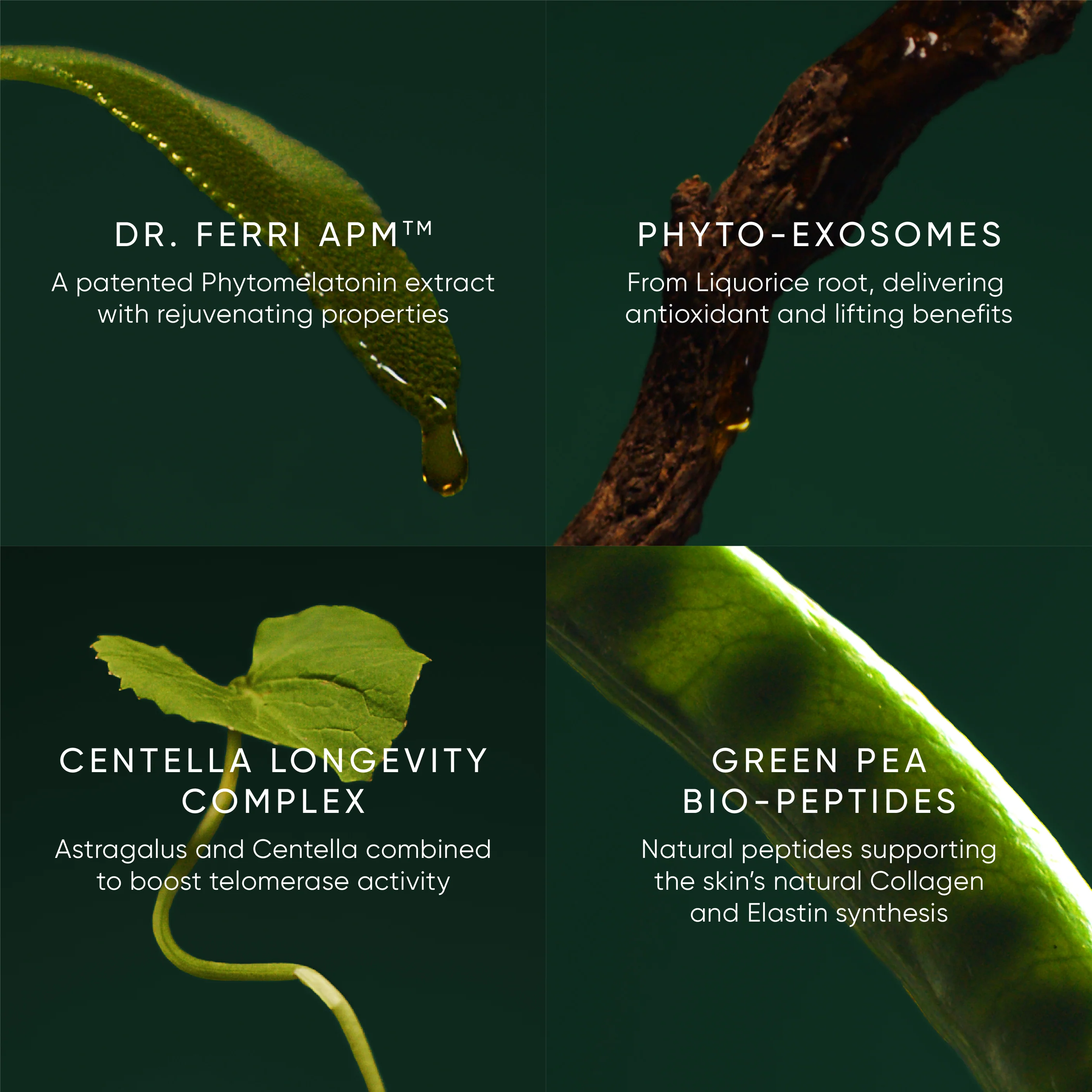 Phytomelatonin Rejuvenating Eye Cream - Image 6