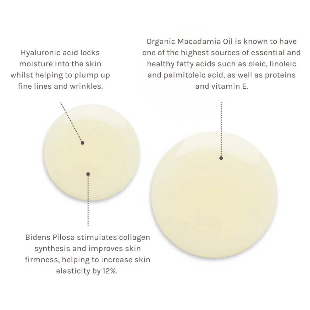 Timeless Renewal Bio-Retinol Body Oil - Image 3